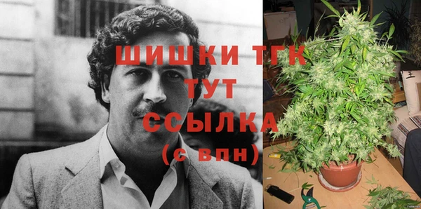 дживик Аркадак