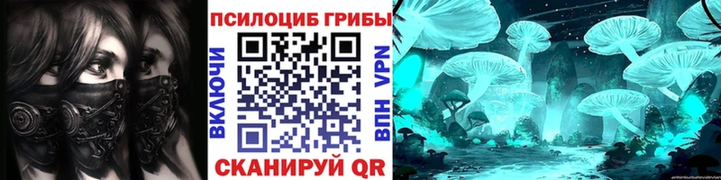 как найти   Кириши  Псилоцибиновые грибы Magic Shrooms 